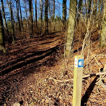 Ferienhaus Second Birlenbach