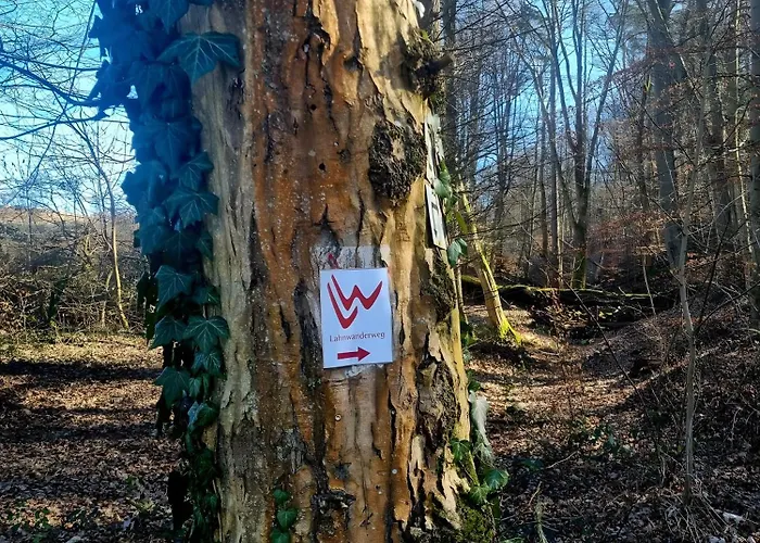 Dom wakacyjny Second *