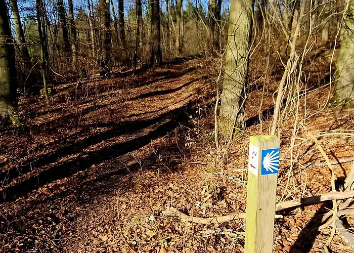 Dom wakacyjny Second Birlenbach